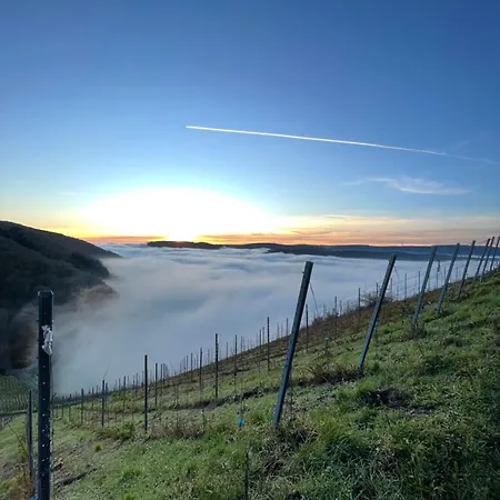 Apartment Urlaub-weinhofherrenberg 1 Schoden