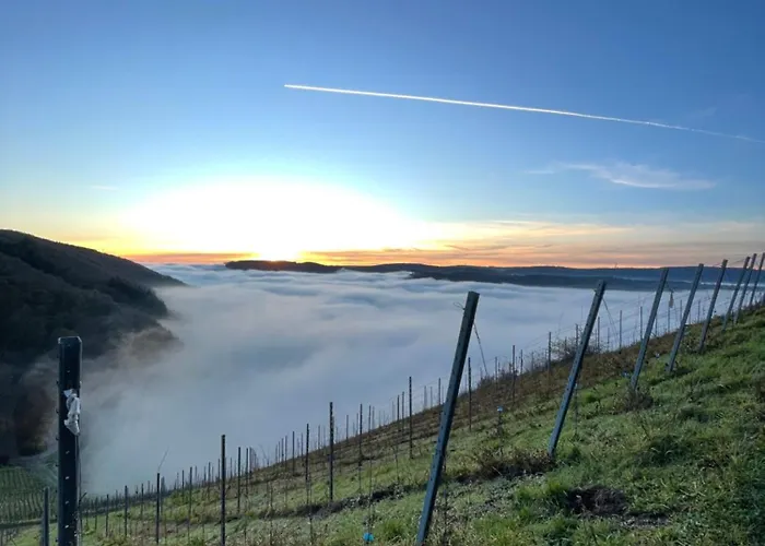 Apartman Urlaub-weinhofherrenberg 1 Schoden